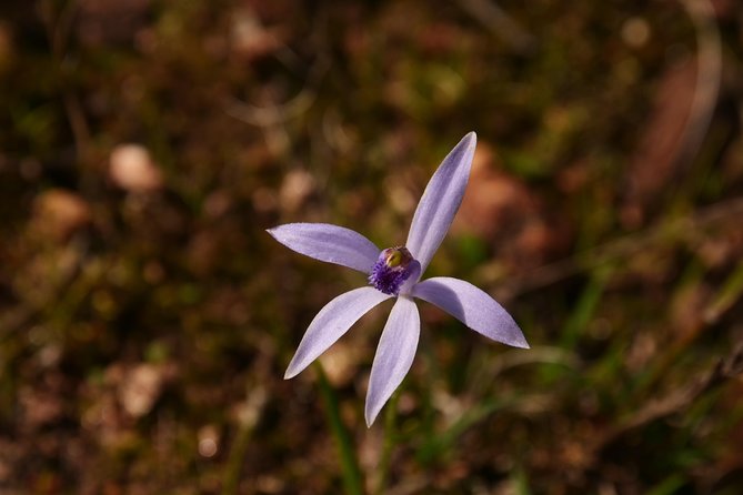 Full-Day Perth Flower Photography Excursion - Common questions