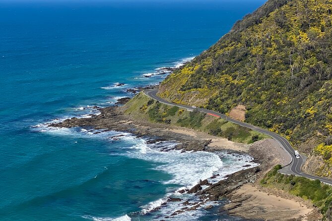 Full-day Private Great Ocean Road Day Tour - Last Words