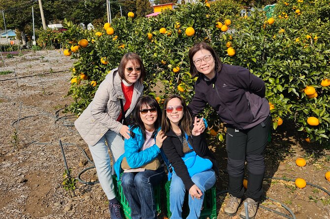Full-Day Private Tour in Jeju Island - Recommendations for the Tour
