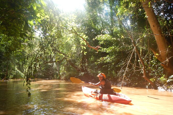 Full-Day River Kayaking Trip in Northern Thailand Jungle From Chiang Mai - Summary