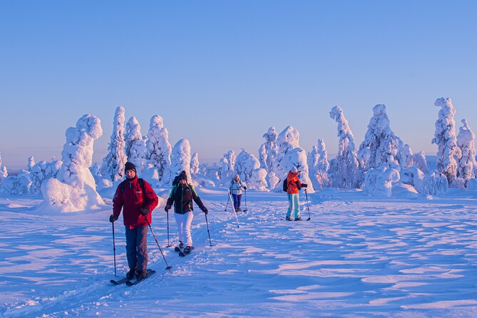 Full-Day Snowshoeing Adventure in Amethyst Mine Pyhä Luosto - Last Words