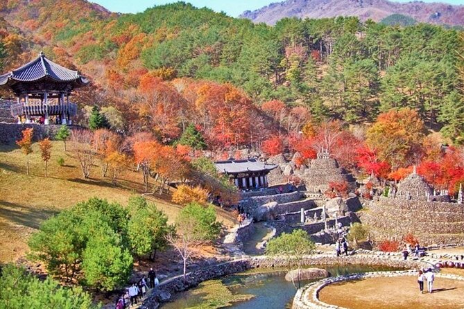 Full-Day Suncheon Bay Garden and Samseonggung Palace With Lunch - Booking and Contact Information