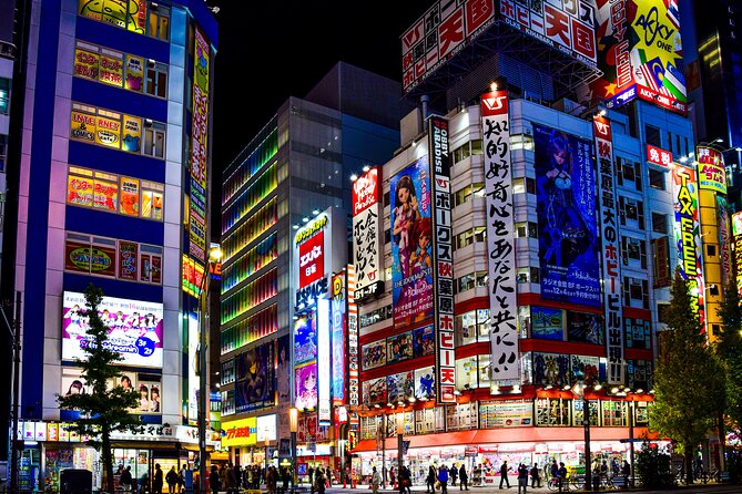 Full Day Tokyo Personalized Private Sightseeing W/English Driver - How Viator Operates and Terms & Conditions