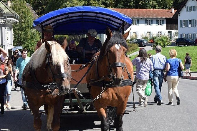 Full Day Tour to Neuschwanstein Castle Incl. Carriage Ride and Guided Tour - Common questions