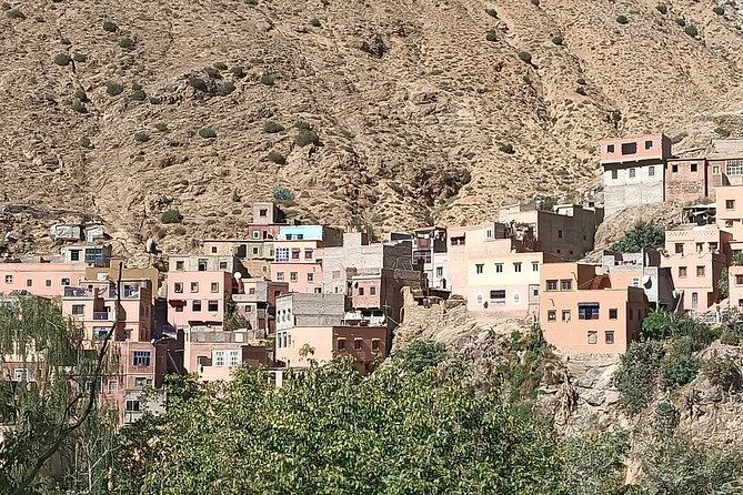 Full Day Tour to Ourika Valley Berber Village and Atlas Mountain - Booking and Contact Information