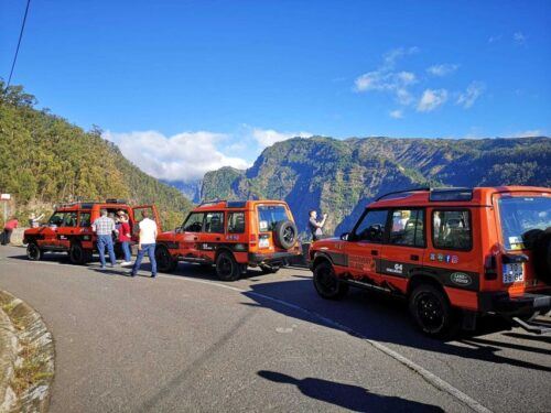 Funchal: Câmara Lobos & Girão Sea Cliff Half-Day Jeep Tour - Live Tour Guides