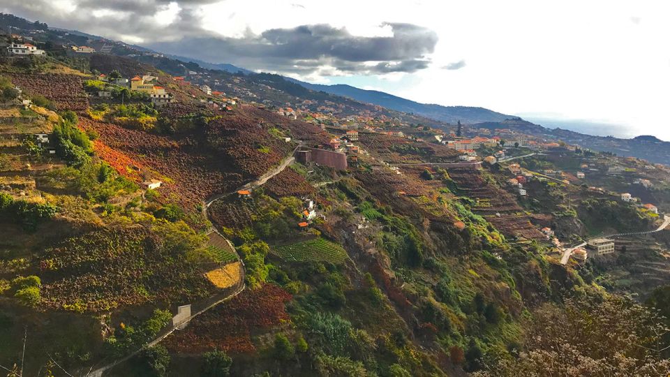 Funchal: Northern Levada Walking Tour - Last Words