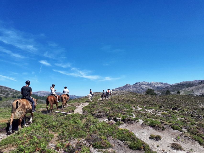 Gerês Braga: Horseback Ride in Peneda Gerês National Park - Last Words