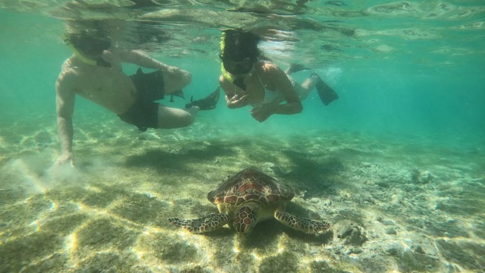 Gili Trawangan: Gili Island 3 Spots Snorkeling With Turtle - Pricing and Booking Information