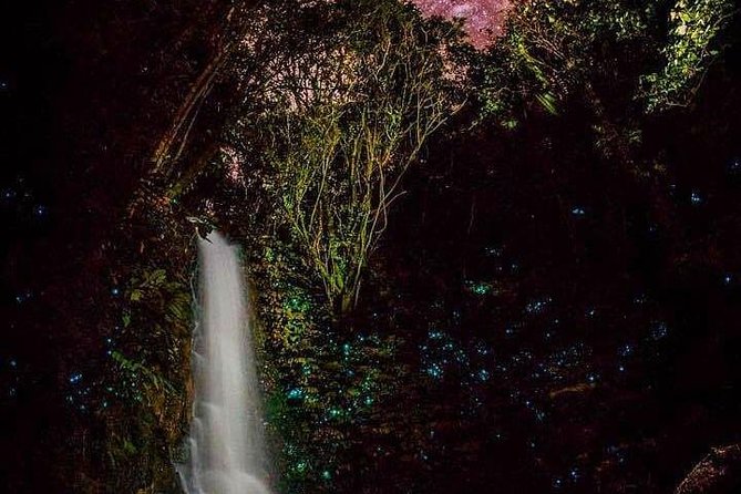 Glowworm Canyoning Adventure - Private Tour From Auckland - Contact Information