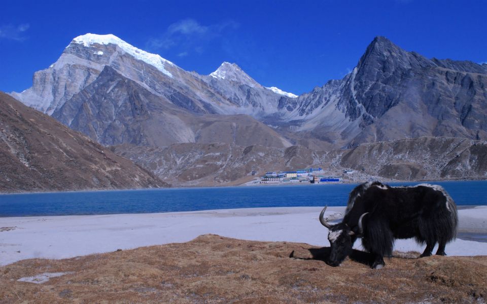 Gokyo Lakes 10 Days Trek for a Breathtaking Adventure - Common questions