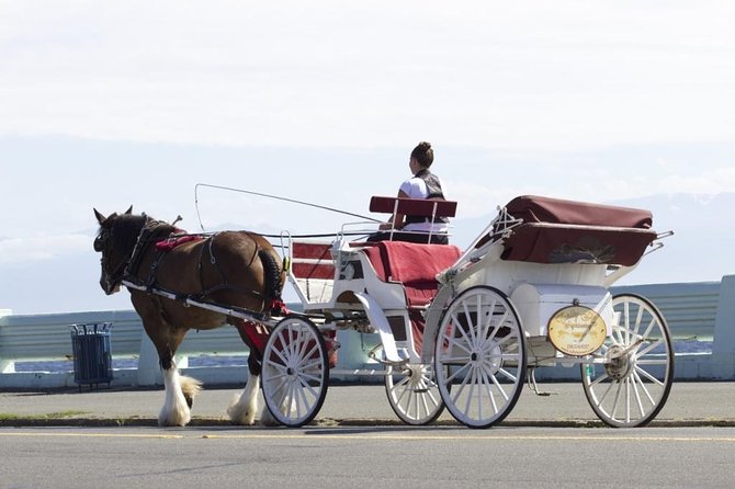 Grand Horse-Drawn Carriage Tour of Victoria - Additional Guidelines