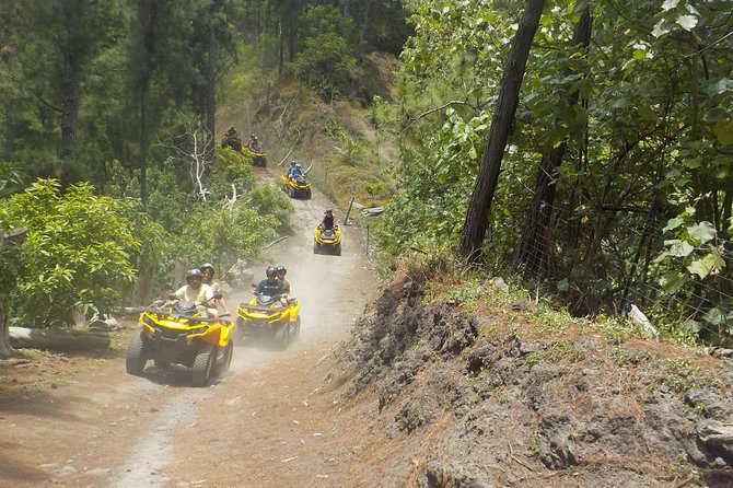 Grand Tour Quad 3h30 Quad Excursion in Moorea (Single or Two-Seater) - Last Words