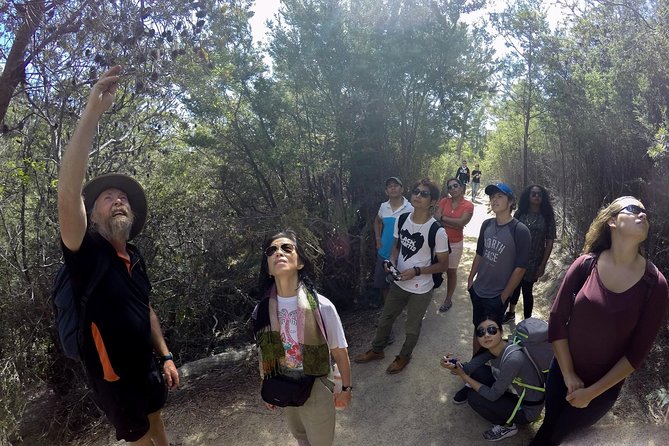 Group Day Hike With Oysters and Ice Cream to Wineglass Bay  - Hobart - Last Words