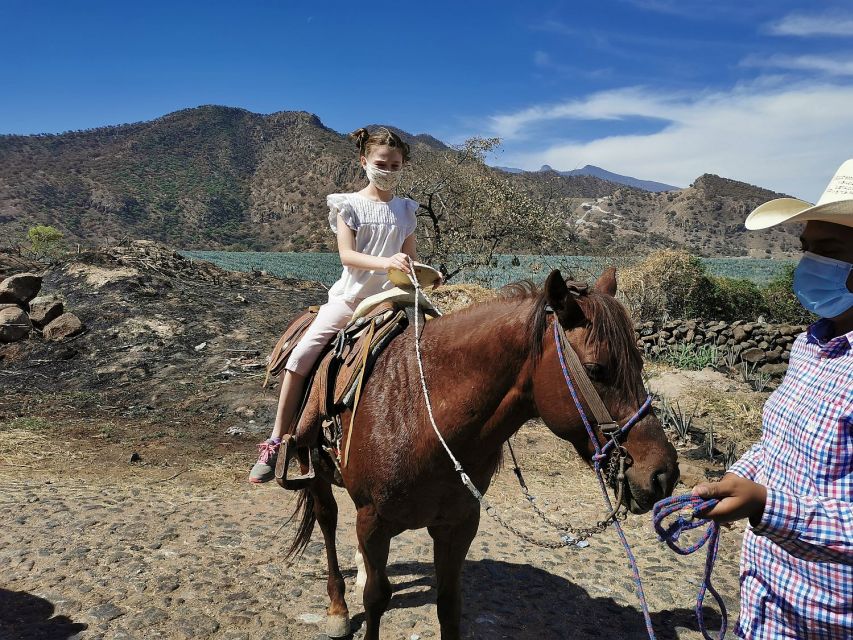 Guadalajara: Horse Riding on the Tequila Route With Tastings - Last Words