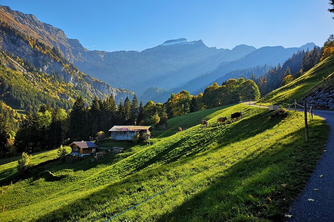 Guided Excursion to Jungfraujoch, Grindelwald and Lauterbrunnen From Lucerne - Last Words