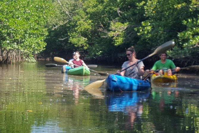 Guided Kayak Tour of Khao Lak Mangroves - Common questions