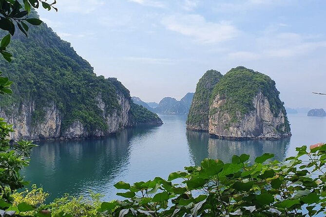 Ha Long Bay Cruise Day Tour - Cave, Kayaking, Swimming & Lunch - Customer Reviews and Satisfaction