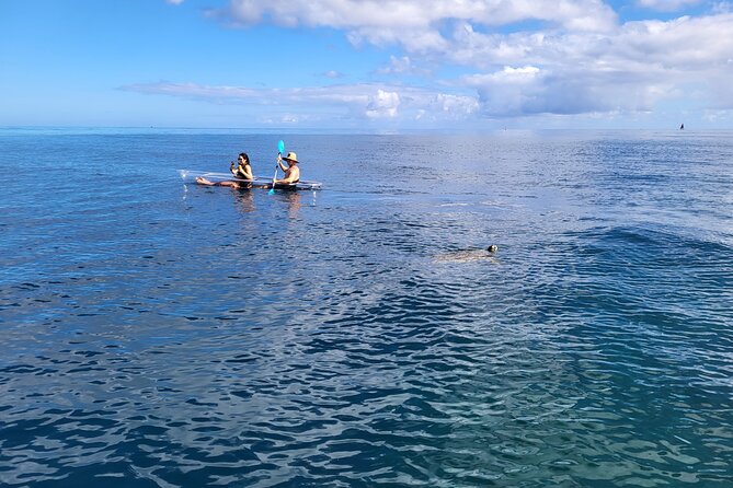 Haleiwa Small-Group Kayak and Snorkel Tour  - Oahu - Positive Experiences