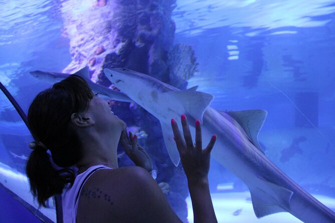 Half Day Antalya Aquarium Tour And Wax Museum - Common questions