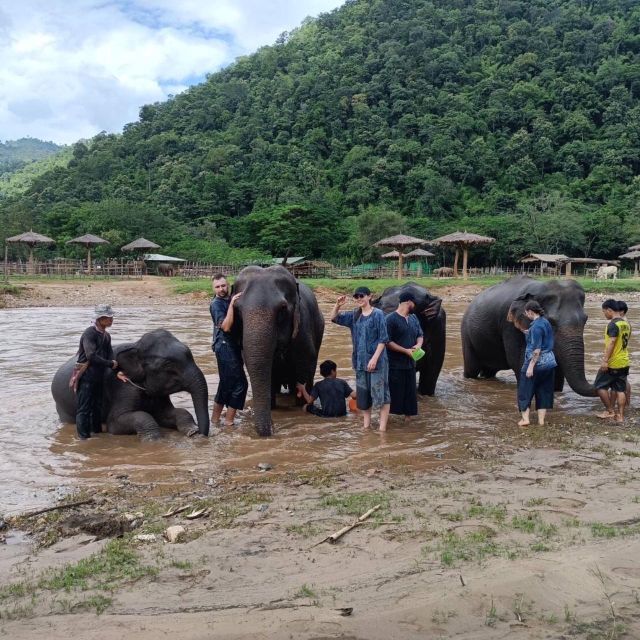 Half Day Elephant Care - Pickup and Drop-off Details