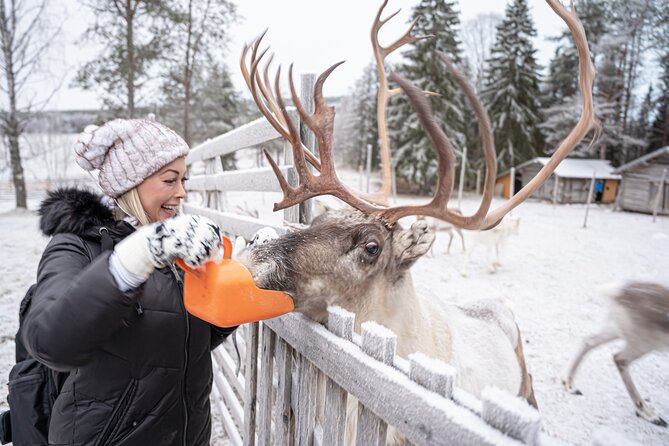 Half-Day Experience in Local Reindeer Farm in Lapland - Last Words