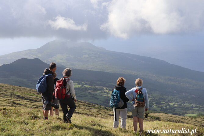 Half Day Faial Island Tour -Local Biologist - Additional Information