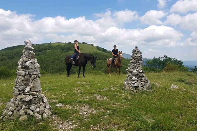 Half-Day Horseback Ride in Tuscany for Beginner Riders - Cancellation Policy