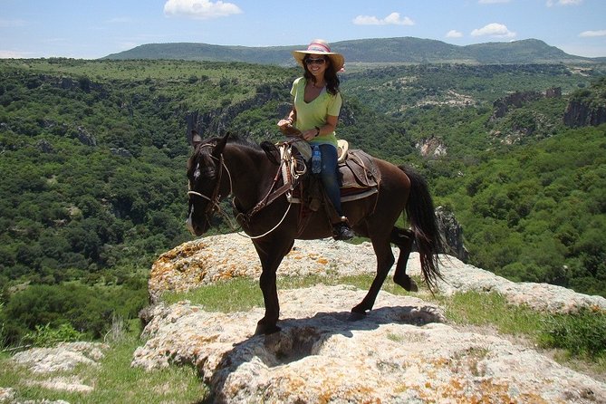Half-Day Horseback Riding Adventure - Scenic Beauty
