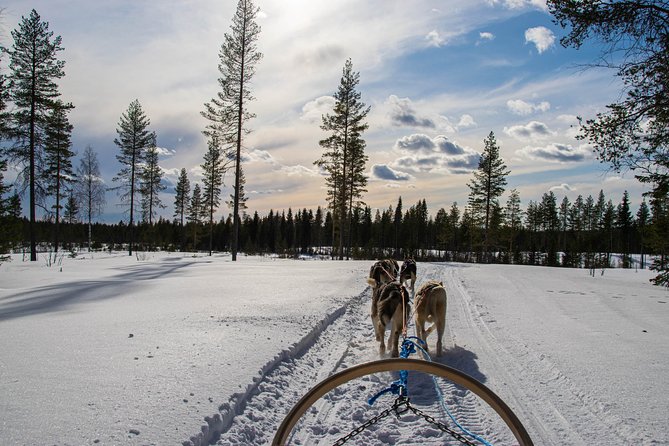 Half-Day Husky Safari and Salmon Ice Fishing Experience - Last Words