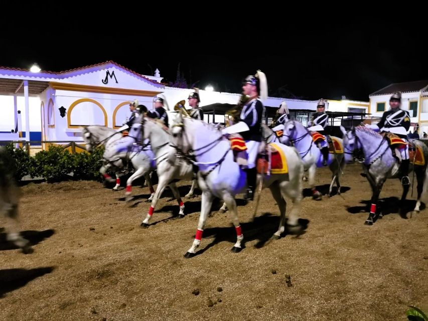 Half-Day Lusitanian Horses & Photography Museum Private Tour - Directions