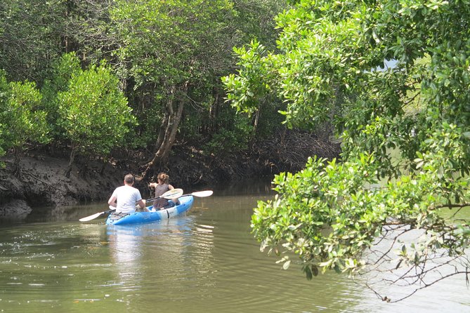 Half Day Mangrove by Kayaking or Longtail Boat From Koh Lanta - Common questions
