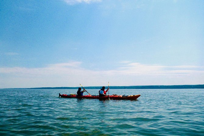 Half-Day Orleans Island Small-Group Sea Kayaking Tour - Last Words