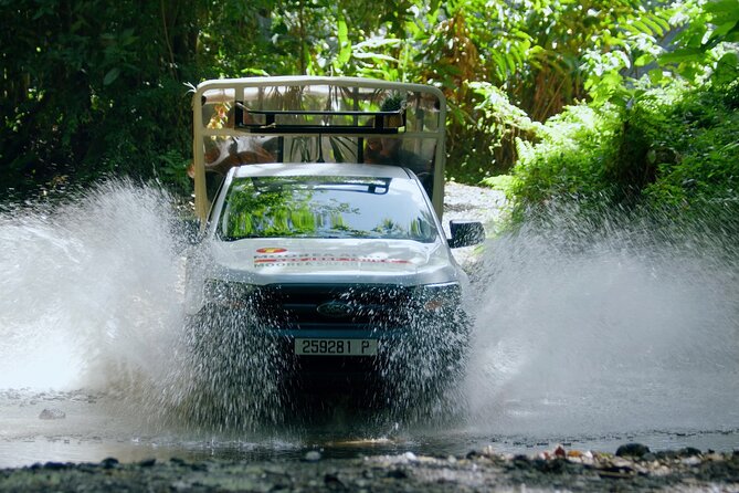 Half-Day Private Highlights Tour by 4x4, Moorea - Last Words