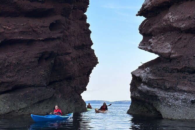 Half Day Sea Kayak Guided Tour - What to Expect on the Tour