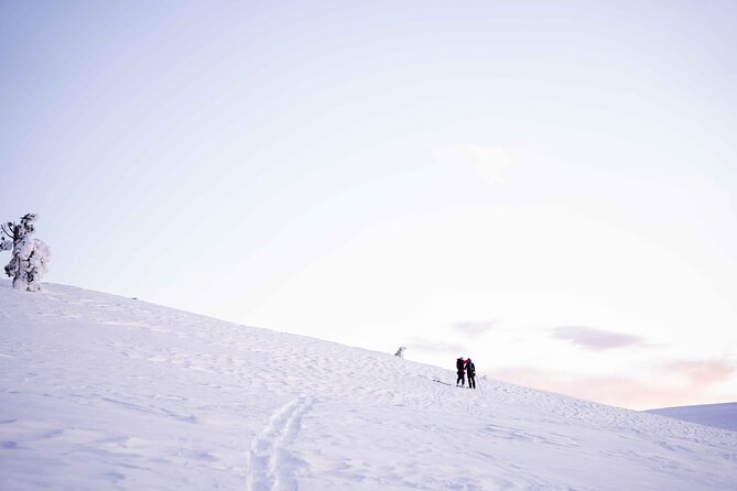 Half Day Snowshoe Hiking Adventure in Levi Lapland - Last Words