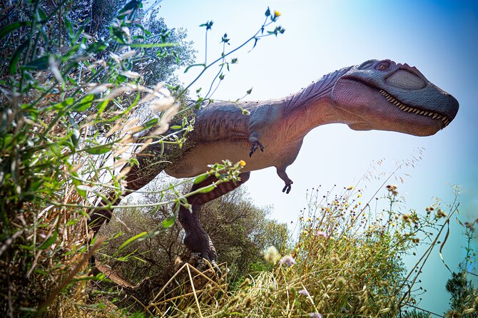 Half Day Tour to Dinosaur Land in Mallorca - Tour Contact Information