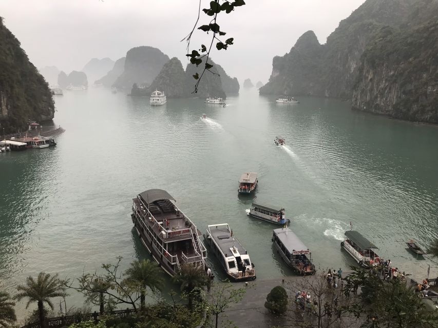 Hanoi: 2-Day 5 Star Luxury Ha Long Bay Cruise Tour - Additional Information for Travelers