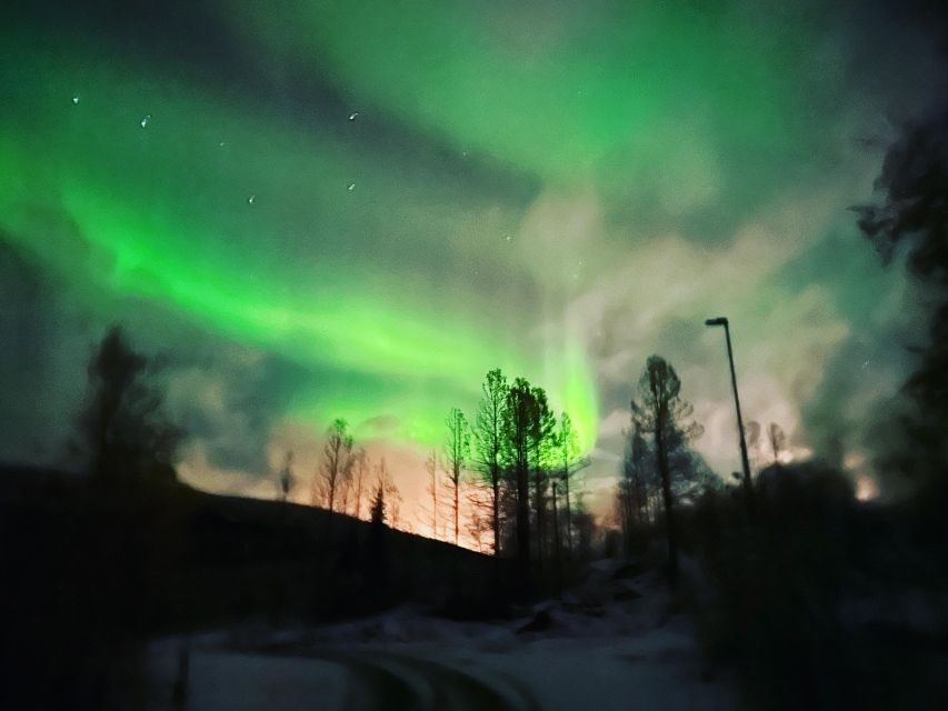 Harstad/Narvik/Tjeldsund: Northern Lights Sightseeing by Car - Review Summary