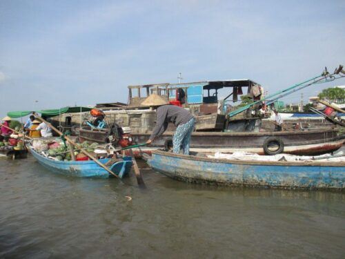 HCMC: Cai Rang Floating Market & Mekong Delta Private Tour - Tips for the Trip