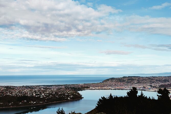 Heritage City and Larnach Castle Van Tour With Historian Guide - Common questions