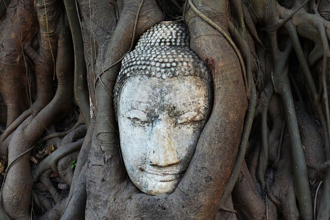 Highlights of Bangkok and Ayutthaya (World Heritage Site) in 1 Day - Return to Bangkok