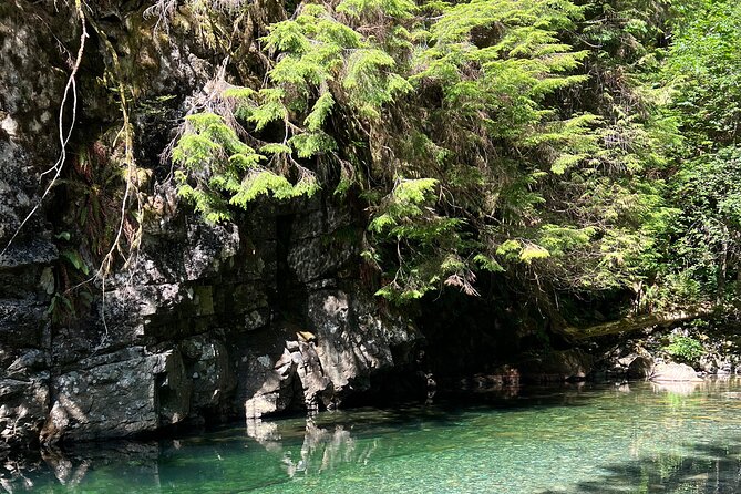 Hike Lynn Canyon and Bike Seymour Demonstration Forest - Scenic Views