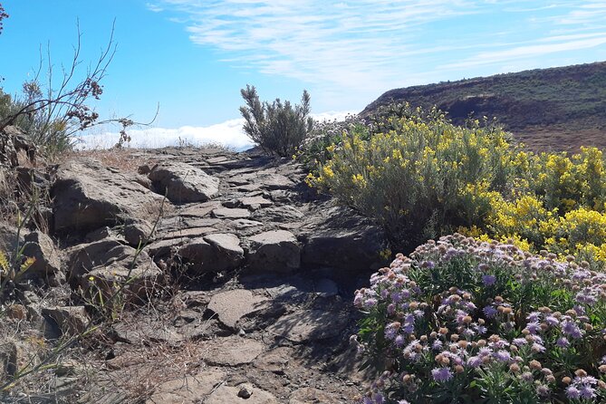Hiking Experience in the North of Gran Canaria - Last Words