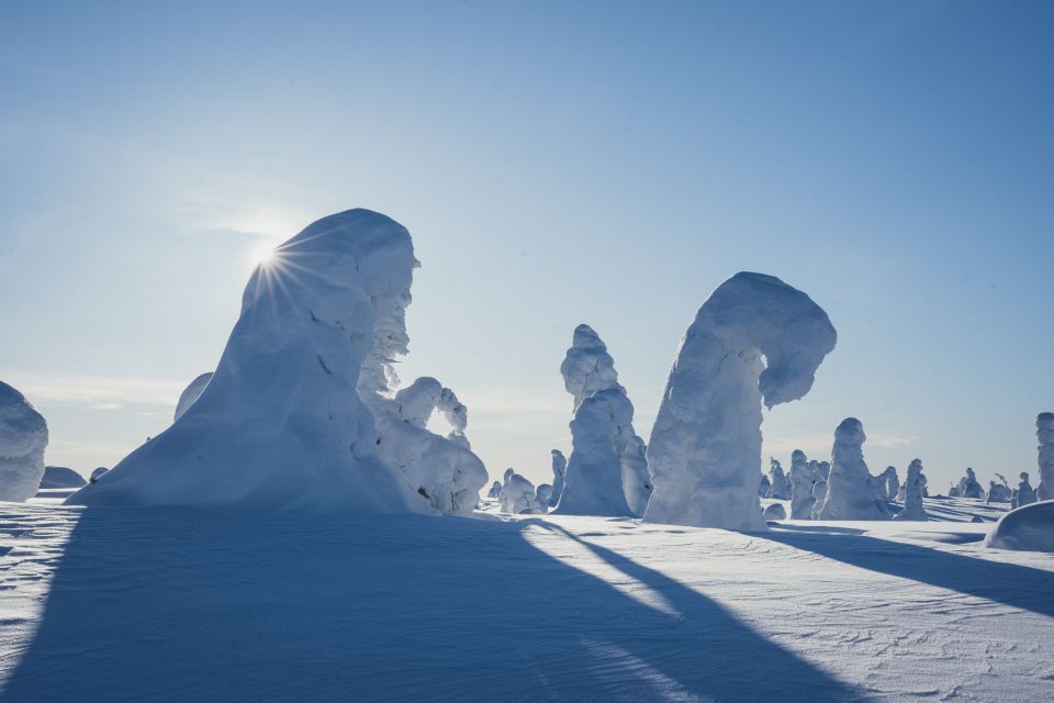 Hiking in Riisitunturi National Park With Photographer - Common questions