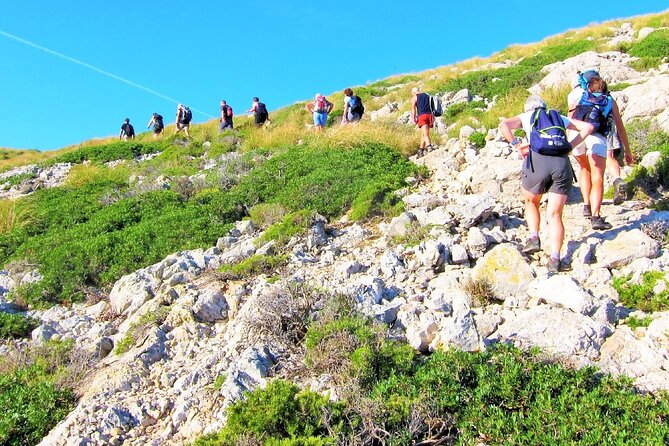 Hiking Private Tour in Pollensa - Customer Reviews