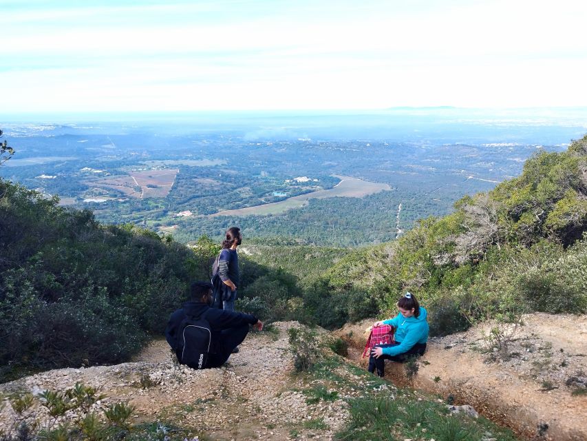 Hiking Tour to the Highest Point of Arrábida Mountain - Visitor Reviews