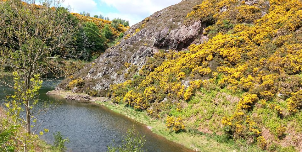 Hill & Nature Hike - Discover Real Edinburgh With a Local - Nature Hike Directions