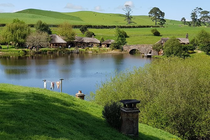 Hobbiton Movie Set Luxury Private Tour From Auckland - Five-Star Customer Reviews and Testimonials