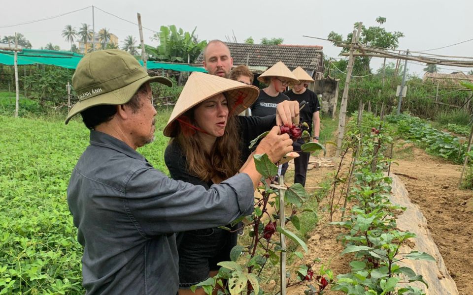 Hoi An Rural Cycling and Cooking at Organic Farm - Last Words